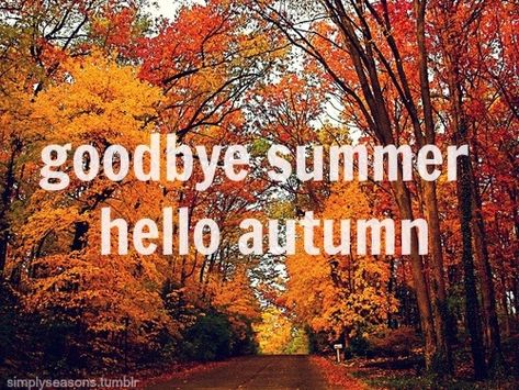 Goodbye summer, hello autumn autumn fall autumn pictures goodbye summer hello fall Goodbye Summer Hello Autumn, Good Bye Summer, Autumn Images, Late Summer Flowers, Hello April, Goodbye Summer, Fall Mood Board, Autumn Scenes, Good Bye