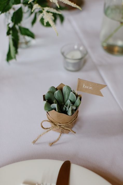 Succulent Table Decor, Wedding Favor Sayings, Succulent Wedding Cakes, Succulent Wedding Centerpieces, Succulent Photography, Succulent Wedding Favors, Succulent Favors, Succulent Bouquet, Succulent Centerpieces