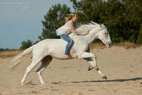 Riding without saddle or bridle Horse Ownership, Bareback Riding, Natural Horsemanship, Equestrian Helmet, Horse Blankets, Cute Horses, Appaloosa, Equestrian Outfits, Horse Pictures