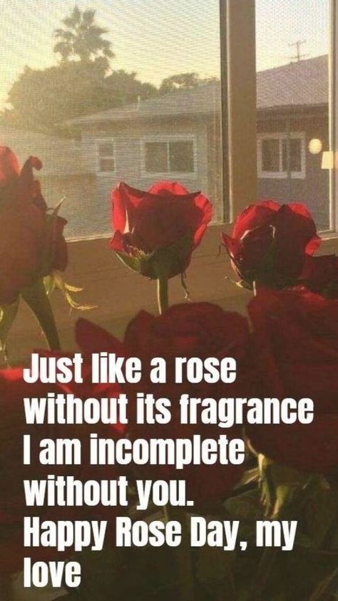 Rose Day Quotes For Him, Quotes For Him Aesthetic, Rose Day Special, Lines For Husband, Rose Love Quotes, Rose Day Pic, Rose Day Quotes, Valentines Quotes For Him, Happy Valentines Day Quotes For Him