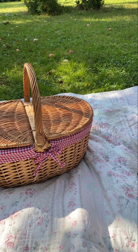 Picnic Basket Aesthetic, Never Forget You, Picnic Basket, Warm And Cozy, Chloe, Pins, Quick Saves