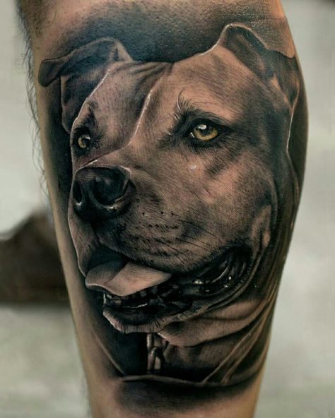 Tattoo done by: Pablo Hernandez Bambamsi.com #pitbull #amstaff Pittbulls Dogs Tattoo, Staffy Dog Tattoo, Staffie Tattoo, Staffy Tattoos, Dog Portrait Tattoo, Pitbull Tattoo, Dog Memorial Tattoos, Pitbull Art, Bull Tattoos