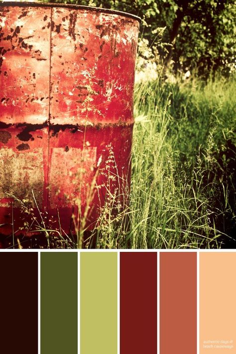 Rust Red Color Palette, Red Green Color Palette, Red And Green Color Palette, Outdoor Color Palette, Deep Autumn Color Palette, Autumn Color Palette, Earthy Colours, Red Colour Palette, Palette Inspiration