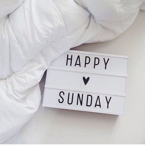 Blessed Sunday Quotes, Light Box Quotes, Sunday Morning Quotes, Weekday Quotes, Weekend Quotes, Easy Like Sunday Morning, Happy Sunday Quotes, Blessed Sunday, Boxing Quotes