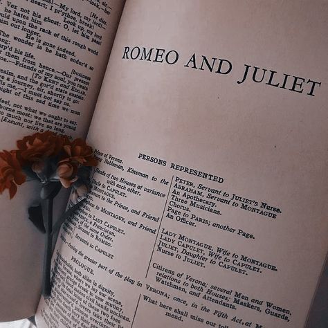 Theater Academia, Theatre Academia, Lady Capulet, Three Musicians, Taylor Swift Album, Dark Academia Aesthetic, Sirius Black, Theatre Kid, Romeo And Juliet