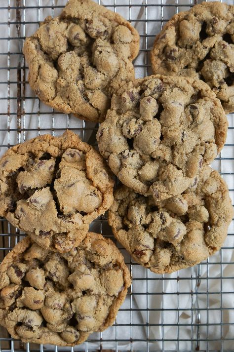 Oat Flour Cookies (Chocolate Chip) Oat Flour Protein Cookies, Single Serve Oat Flour Cookie, Oat Flower Cookies, Oat Flour Recipes Cookies, Oat Flour Cookies Healthy, Oat Flour Sugar Cookies, Oatmeal Flour Cookies, Oat Flour Desserts, Cup4cup Recipes