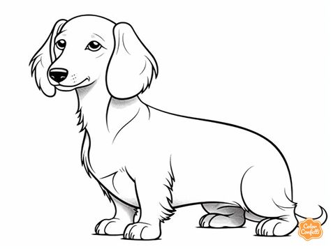 illustration of Smiling dachshund to color Dachshund Coloring Pages, Mandala Turtle, Sausage Dogs, Domestic Animals, Dog Coloring Page, Relaxing Colors, Printable Coloring Sheets, Fantasy Fairy, Wiener Dog