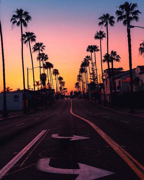 Popular Places, La Jolla California, La Jolla Cove, Palm Tree Sunset, California Vibe, San Diego Living, California Surf, Santa Monica Pier, Visit California