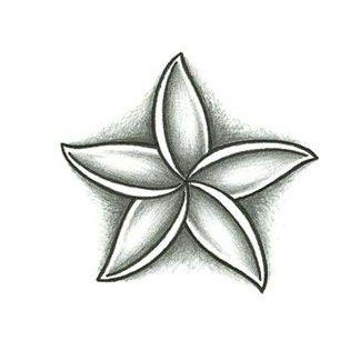 Jasmine Flower. Would be cute with the anchor design that I have in mind. Fiori Frangipani, Jasmine Flower Tattoo, Jasmine Tattoo, Tumblr Flower, Flower Pattern Drawing, Hawaiian Tattoo, Flower Tattoo Sleeve, Tattoo Desings, Hand Flowers