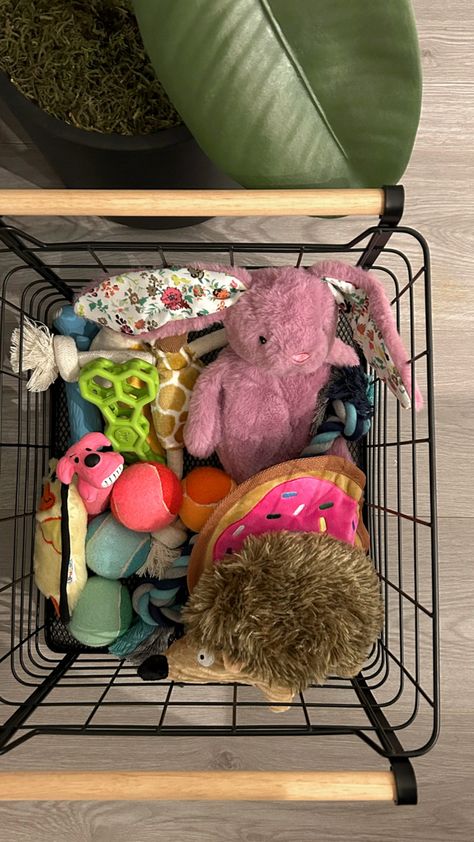 Toys Aesthetic, Puppy Items, Dog Room Decor, True Connection, Puppy Room, Cute Dog Toys, Dog Organization, Dog Corner, Dog Accesories