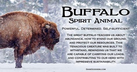 Buffalo Spirit Animal Meaning, Buffalo Spirit Animal, Bison Spiritual Meaning, White Buffalo Meaning, Bison Quotes, Buffalo Tattoo Feminine, Intellectual Conversation, Bison Photography, Buffalo Tattoo