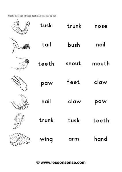 Animals Parts Of The Body Worksheets Farm Animal Counting, Biology For Kids, Maze Worksheet, Animal Body Parts, Animal Worksheets, Counting Books, Classroom Tools, Worksheets For Kindergarten, Parts Of The Body