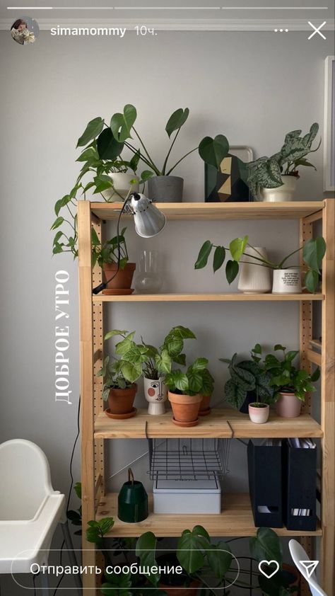 Plant Decor Indoor, Plant Aesthetic, House Plants Decor, Plant Stands, Green Rooms, Plant Shelves, Cozy Room, Room Inspiration Bedroom, Room Ideas Bedroom