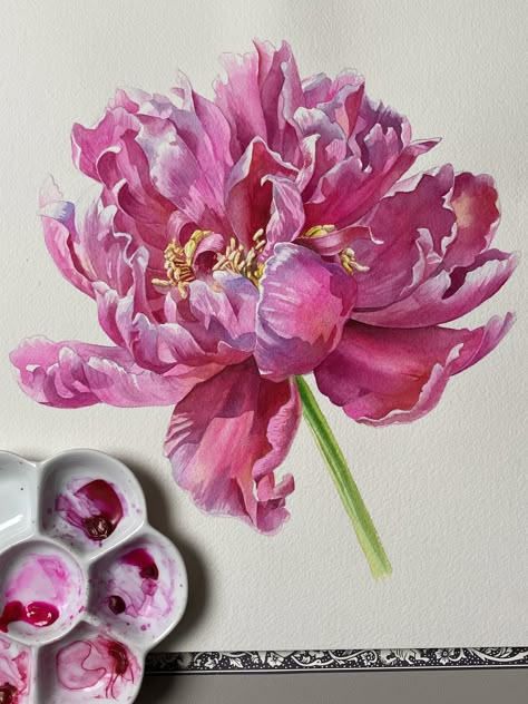 Watercolor Peony: Pro Techniques Explained | Anna Bucciarelli | Skillshare Peony Digital Art, Anna Bucciarelli Watercolor, How To Paint Peonies, Watercolour Peonies, Anna Bucciarelli, Peony Watercolor Painting, Watercolour Peony, Peonies Art, Peonies Painting