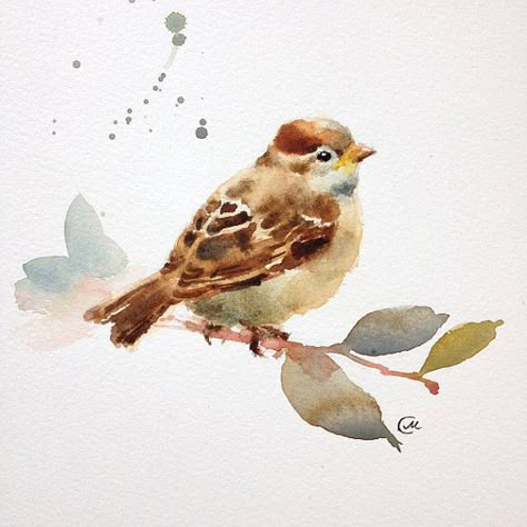 Baby Sparrow Watercolor Original Painting Baby Sparrow, Watercolour Birds, Bird Sitting, Bird Watercolor Paintings, Watercolor Birds, Bird Paintings, Drawing Hair, Watercolor Painting Techniques, 수채화 그림