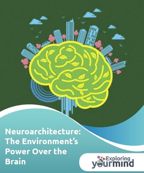 Neuroarchitecture: The Environment's Power Over the Brain  The purpose of neuroarchitecture is to create spaces of happiness, well-being, productivity, and quality of life. Find out more here! Ancient Egypt Pyramids, Interior Design Portfolio Layout, Ra Bulletin Boards, Human Body Unit, Cognitive Bias, Deaf Culture, Physical Education Games, Portfolio Design Layout, Brain Science