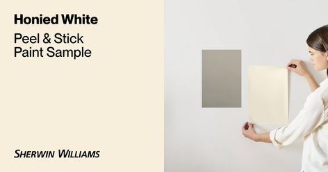 Honied White (7106) | Sherwin-Williams | Samplize Peel and Stick Paint Sample Gray Owl Paint, Balboa Mist, Picking Paint Colors, White Paint Color, Benjamin Moore Gray, Shoji White, Benjamin Moore White, Paint Sample, Benjamin Moore Paint