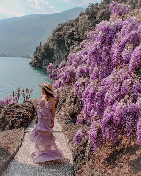 Travel To Italy, Our Earth, Como Italy, Spring Trip, So Thankful, Travel Goals, Lake Como, Flower Beauty, Wisteria