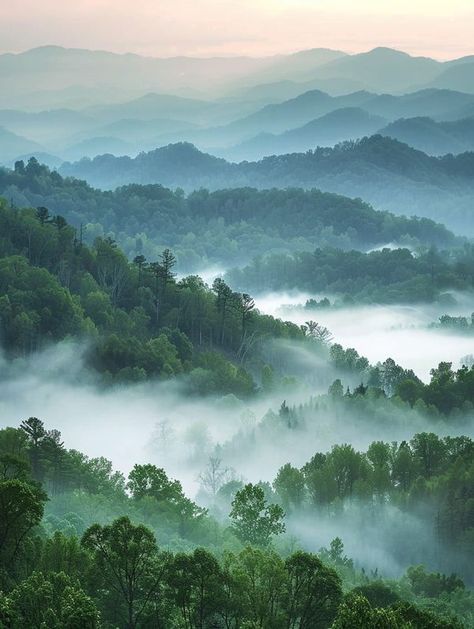 The Great Smoky Mountains, Gatlinburg Tennessee Mountains, Great Smoky Mountains Aesthetic, Smokie Mountains Tennessee, Smokey Mountains Aesthetic, Gatlinburg Aesthetic, Nc Aesthetic, North Carolina Landscape, Tennessee Landscape