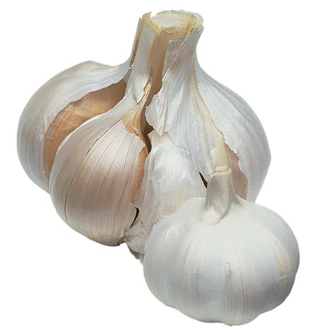 Grow Garlic, Garlic Bulbs, Gardeners World, Growing Garlic, Garlic Bulb, Body Hair Removal, Traditional Medicine, Basic Recipes, Fruit And Veg