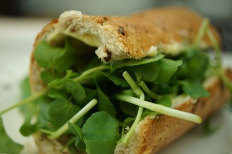 watercress sandwich small Water Cress Sandwiches, Watercress Sandwich, Water Cress, Break Fast, Poor Man, Lunch To Go, Watercress, Bread Recipes, Fresh Water