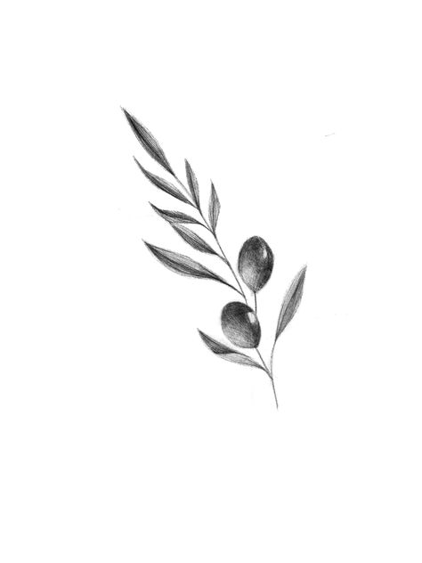 Line Only Tattoos, Delicate Olive Branch Tattoo, Oliver Branch Tattoo, Olive Plant Tattoo, Olive Tattoos, Fine Line Olive Branch Tattoo, Olive Branch Tattoo Design, Olive Branch Tattoo Meaning, Olive Tree Tattoos