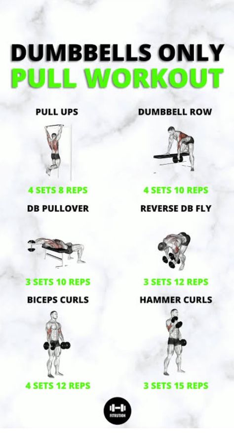 Pull Dumbbell Workout, Pull Workout Women, Pull Workouts, Pull Workout, Dumbbell Workouts, Push Day, Dumbell Workout, Workout Inspo, Workout Women