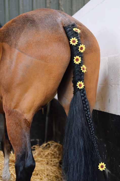 Sunflower Horse Costume, Horse With Braided Mane, Tail Braids Horse, Centaur Barbarian, Horse Plaits, Animal Hairstyles, Dnd Centaur, Rodeo Hair, Grooming Horse