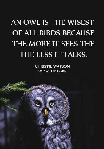 Quotes About Owls, Cartoon Owls, Owl Quotes, Spirit Animal Meaning, Owl Wisdom, Owl Posters, Animal Spirit Guides, Animal Spirit, Being Human