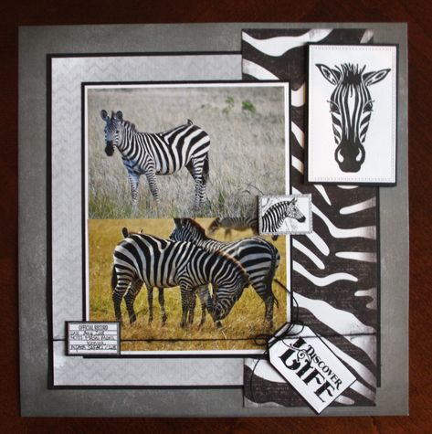 Zebra - Scrapbook.com Africa Scrapbook Layouts, Africa Scrapbook, Zebra Scrapbook Layouts, Jungle Scrapbook Pages, Zoo Scrapbook Layouts Ideas, Zoo Scrapbook Pages Layout, Zoo Tampa, Safari Scrapbook Layouts, Safari Scrapbook