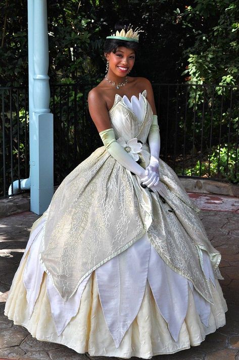 Princess Tiana Costume, Princess Tiana Dress, Tiana Wedding, Tiana Costume, Frog Dress, Tiana Dress, Disney Characters Costumes, Princesa Tiana, Disney Princess Tiana