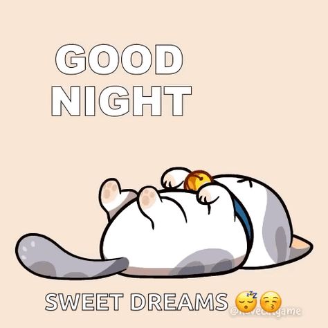 Goodnight Good Night GIF - Goodnight Good night Gn - Discover & Share GIFs Good Night Kitty Sweet Dreams, Good Night Stickers Whatsapp, Sweet Dreams Good Night Gif, Good Night Kitty, Good Night Stickers, Goodnight Cute Images, Sweet Dreams Gif, Good Night Gifs, Goodnight Gifs