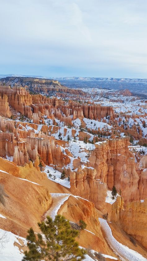 Utah Wallpaper, Bryce Canyon National Park Hikes, Utah Aesthetic, World Bucket List, Winter Photography Nature, Usa Nature, Pictures Winter, Road Trip Travel, Winter Hike