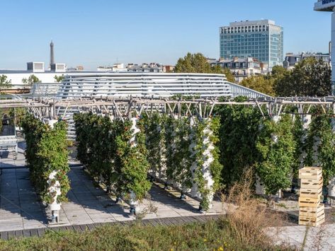 L'agriculture urbaine est plus productive que l'agriculture conventionnelle, c'est le résultat d'une étude publiée par le journal de l’American Geophysical Union, Earth’s Future. Design Objet, Urban Agriculture, Green City, Agriculture, Outdoor Structures, Green, Design, Art