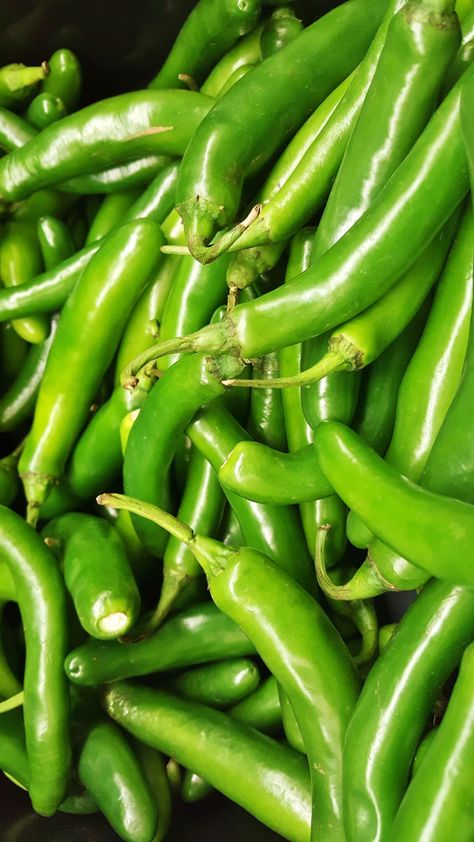 green chilies Chili Pictures, Roasted Chili Peppers, Dried Red Chili Peppers, Green Chili Sauce, Fruits And Vegetables Pictures, Stuffed Peppers Healthy, Kensington Market, Stuffed Anaheim Peppers, Canned Green Chilies