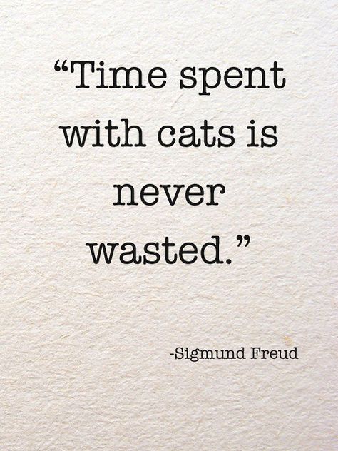 Time spent with cats | Time spent with cats is never wasted.… | cerita pojok | Flickr Cat Person Quotes, Sulley And Boo, Cat Lady Quote, Meow Quote, Pet Quotes Cat, Cat Shirt Design, Cat Captions, Cat Lover Quote, Person Quotes