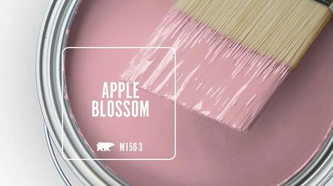 APPLE BLOSSOM M150-3 | Behr Paint Colors Behr Paint Colors Pink, Behr Color Palettes, Pink Cabinets, Behr Colors, Behr Paint Colors, Paint Your House, Cabinet Paint Colors, Behr Paint, Danish Pastel