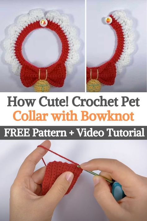 In today’s easy video tutorial, you will learn how to crochet a pet collar with a bowknot and a bell as decoration. This is a beginner-friendly tutorial with step by step slow demonstration.We think this collar is pretty festive! so it would be great for your cat or dog to use it in the coming holiday season! Crochet Bow Tie For Dogs, Free Crochet Dog Collar Patterns, Crochet Dog Collar Pattern, Crochet Dog Items, Crochet Dog Collar Pattern Free, Crochet Cat Collar Free Pattern, Crochet Collars Patterns Free, Pet Collar Crochet, Crochet Dog Collar