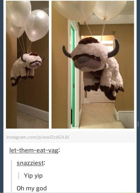 Yip yip Stuffed Animals, Stuffed Animal, Avatar, Balloons, Ceiling, Funny, Animals