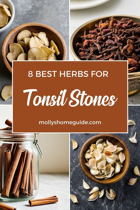 Swollen Tonsils Remedy, Remedies For Swollen Tonsils, Remedies For Tonsillitis, Herb Knowledge, Apothecary Supplies, Herbalism Apothecary, Cleansing Recipes, Herbal Education, Power Of Healing