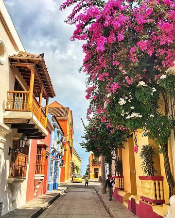 Rooftop Dinner, Yacht Rental, Walled City, Boat Rental, Bike Tour, Local Guide, San Pedro, Old City, Unesco World Heritage Site