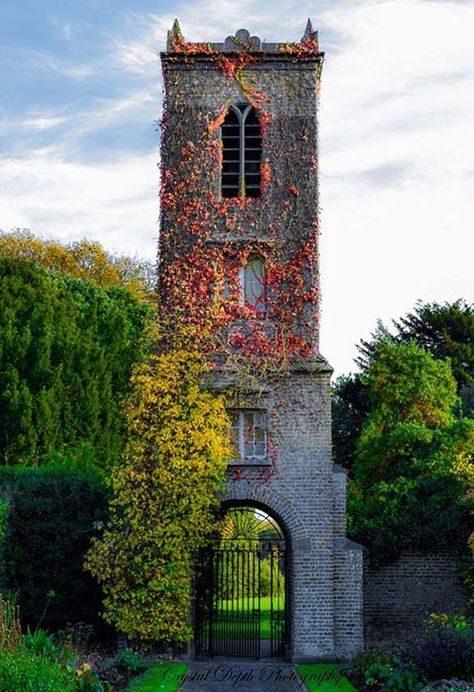 Irish Beauty, Chateau Medieval, Ireland Landscape, Ireland Vacation, Visit Ireland, Dublin City, Fantasy Castle, Beautiful Places In The World, Dublin Ireland