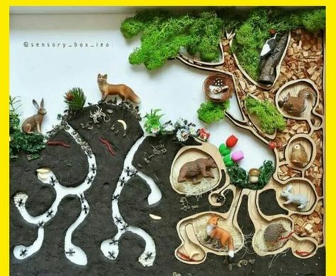 Decoration Creche, Maluchy Montessori, Nature School, Free To Use Images, Aktivitas Montessori, Montessori Activities, Nature Crafts, Science For Kids, Science Projects