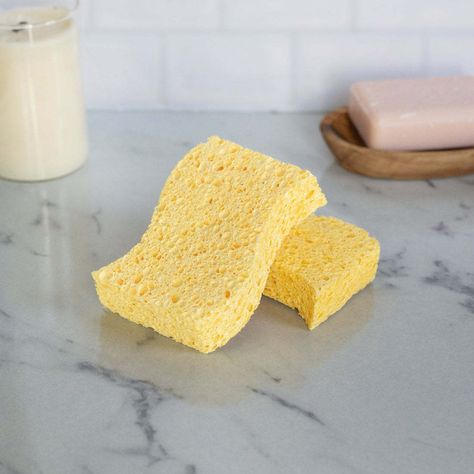 Biodegradable Sponges - The 6 Top Benefits - Free The Ocean Makeup Moisturizer, Body Sponge, Natural Sponge, Natural Kitchen, Cleaning Sponge, Food Wraps, Kitchen Sponge, Reusable Cups, The Switch