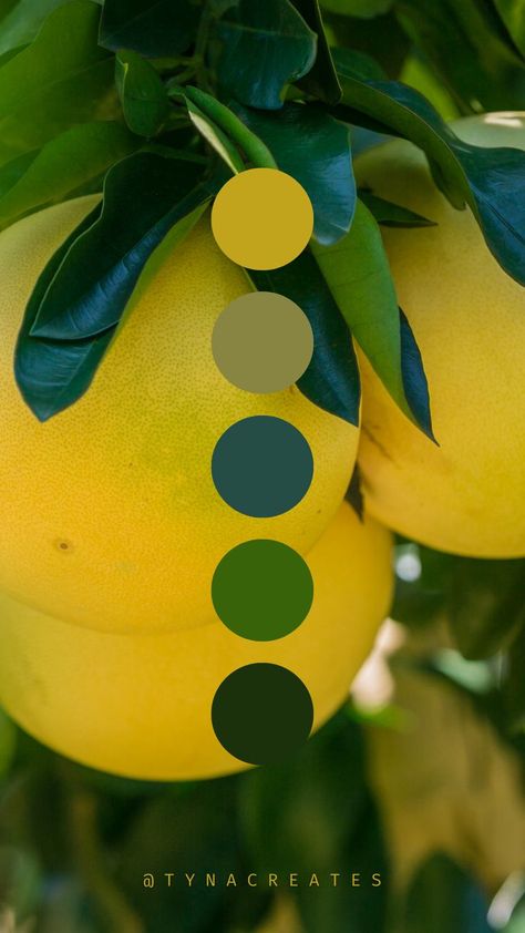 Lemon Color Palette, Lemon Color, Colors Aesthetic, Branding Ideas, Brand Color Palette, Palette Color, Aesthetic Inspiration, Graphics Inspiration, Yellow And Green