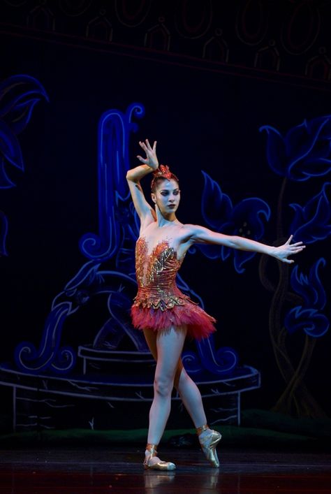 The Ballet Blog Firebird Ballet, Ballet Designs, Ballet Images, Ballerina Barbie, Dance Style, Bird Costume, Alvin Ailey, Ballet Barre, American Ballet Theatre