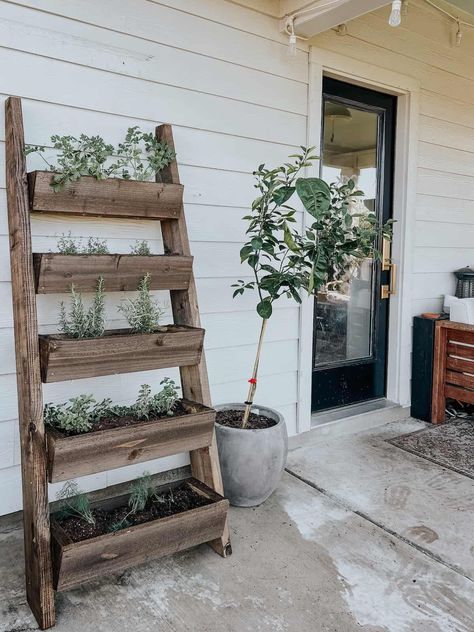 patio with a lemon tree and a leaning herb garden Ladder Planter, Patio Herb Garden, Oasis Design, Herb Garden Wall, Garden Ladder, Herb Garden Pallet, Flowers Creative, Outdoor Herb Garden, Herb Wall