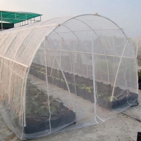 Product Information Material: High Density Polyethylene (HDPE) Uses: Plant physical pest control Specifications: 2 meters wide and 1 meter long (default whole sheet is shipped), 1m*2m single sheet (self-sealed bag) Aperture: 60 color: White Package Insect net*1 Greenhouse Vegetables, Pond Netting, Garden Mesh, Garden Watering System, Arborvitae Tree, Garden Netting, Insect Netting, Garden Pest Control, Covered Garden