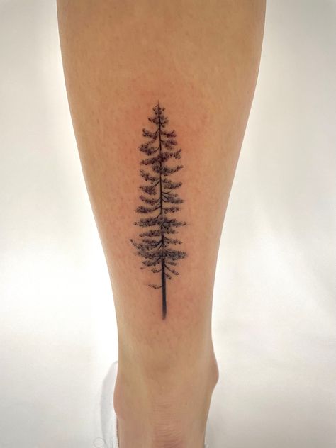 Back of ankle jackpine tree tattoo womans Pine Tree Tattoo Leg, Jackpine Tattoo, Fine Line Redwood Tree Tattoo, Alpine Tree Tattoo, Norfolk Pine Tree Tattoo, Red Wood Tattoo, Minimalist Redwood Tree Tattoo, Norway Pine Tattoo, Western Hemlock Tattoo