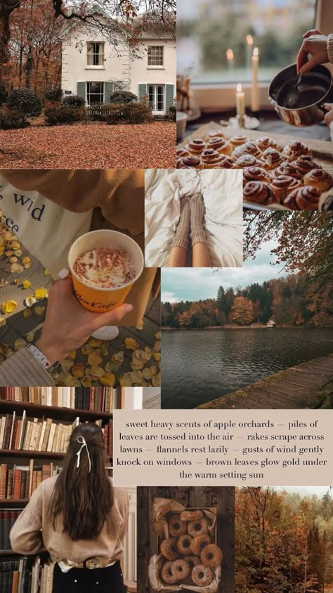 An asthetic collage of fall photos Romanticising Autumn, Autumn Widgets, Fall Core, Book Core, Autumn Collage, Autumn Core, Wallpaper Autumn, Image Halloween, Fall Mood Board